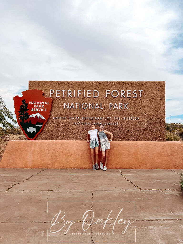 petrified forest national park