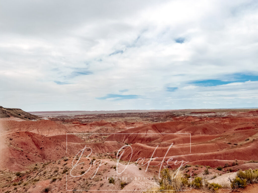 painted desert petrified forest national park
