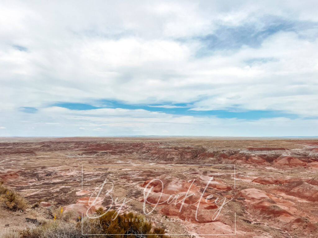 petrified forest national park