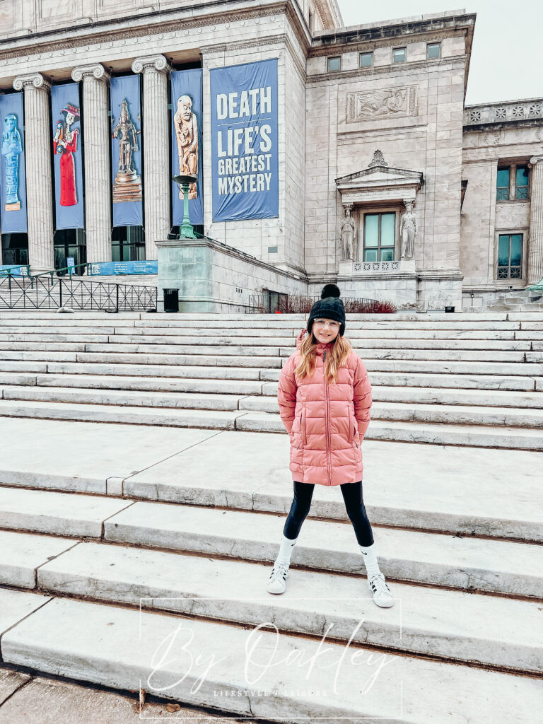 field museum chicago