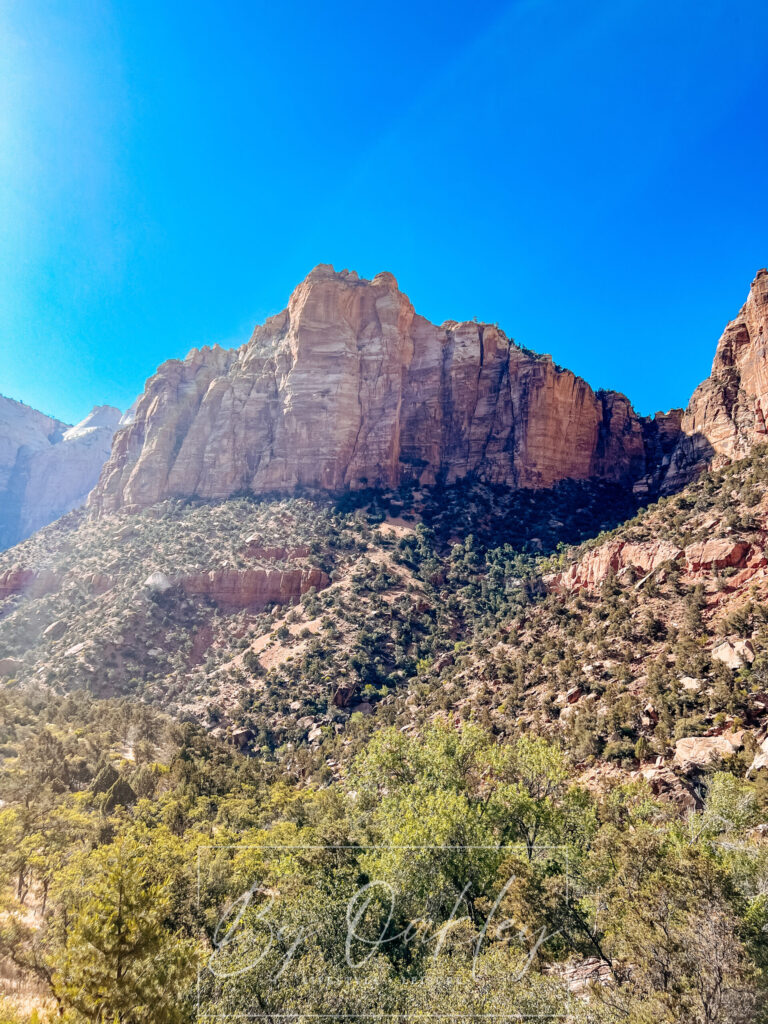 zion national park