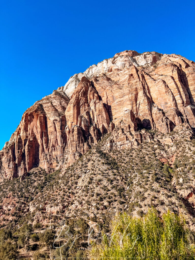 zion national park