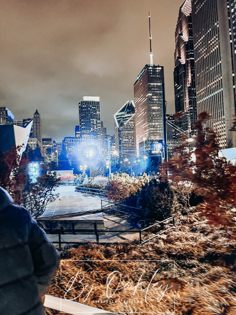 downtown chicago