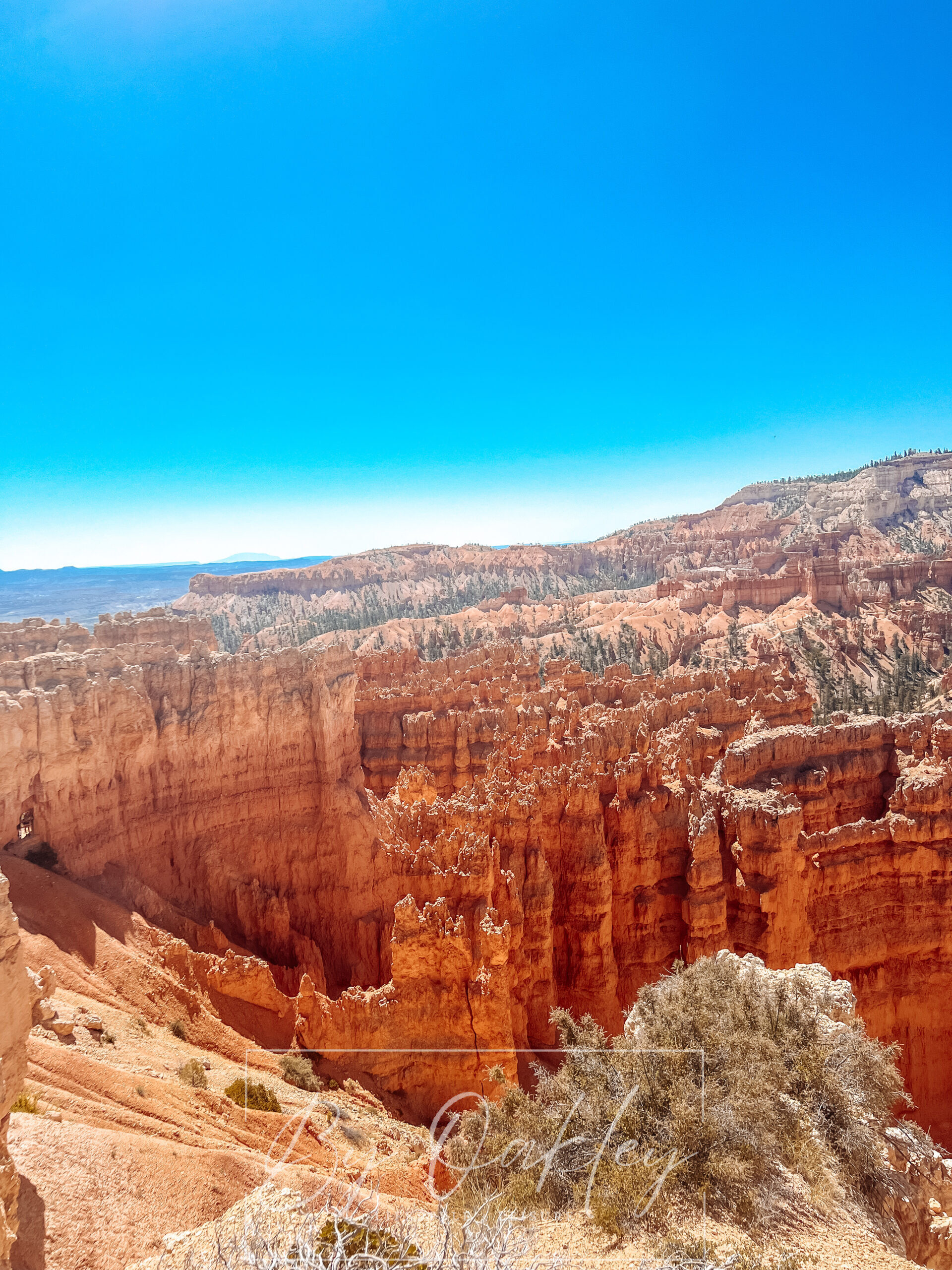 bryce canyon national park