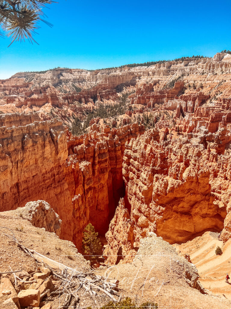 bryce canyon